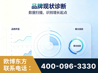 新余-品牌现状诊断